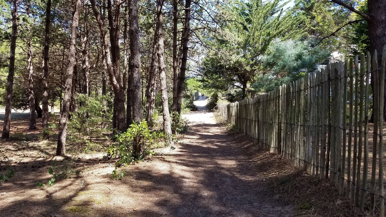 Photo of Outdoor in La Gueriniere