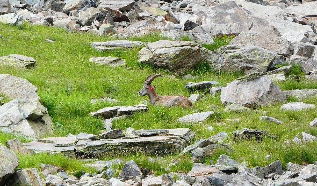Photo of Outdoor in La Ferriere