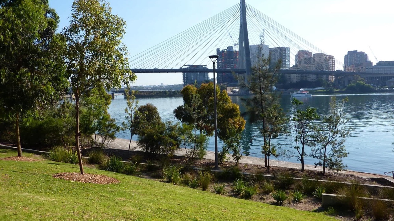 Photo of Others in Forest Lodge