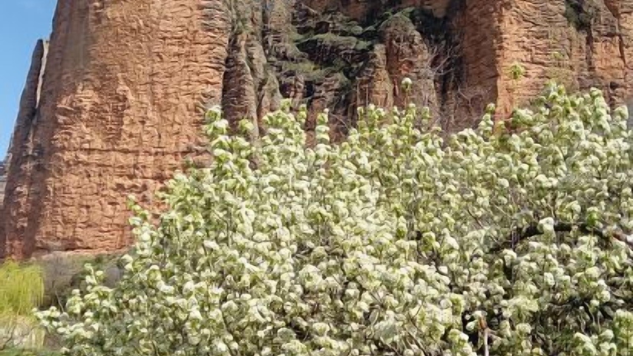 Photo of Outdoor in Riglos