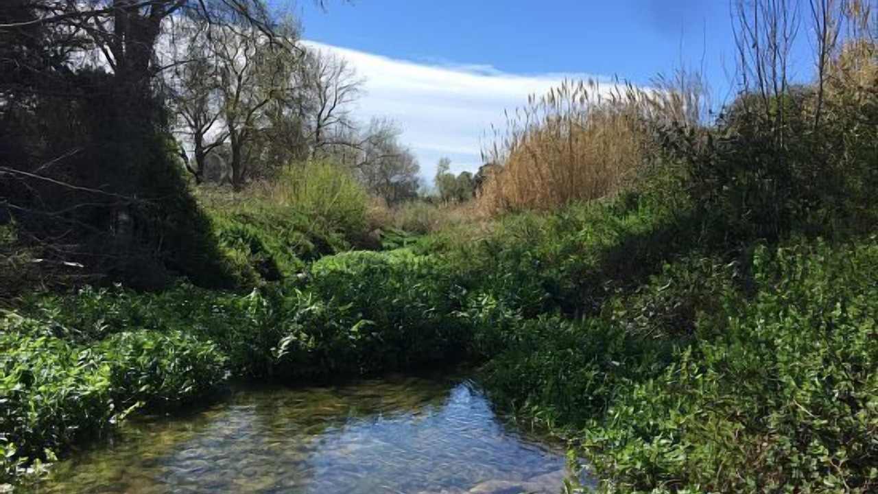 Photo of Outdoor in Vilardida