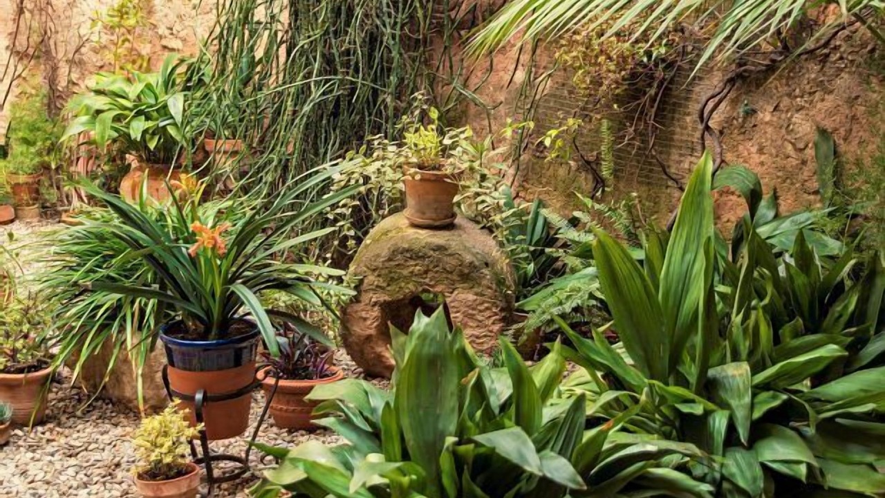 Photo of Outdoor in Vilardida