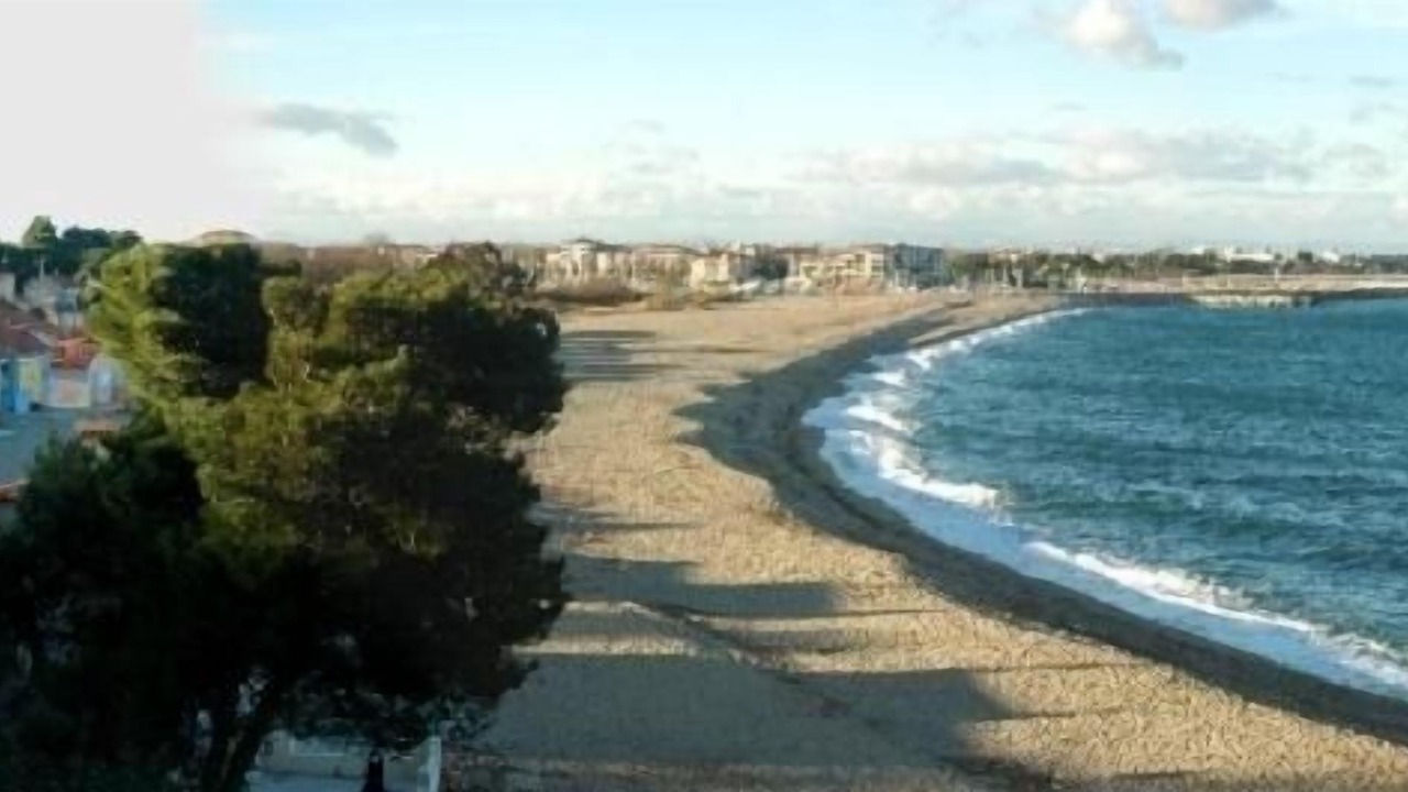 Photo of Others in Plage d'Argeles