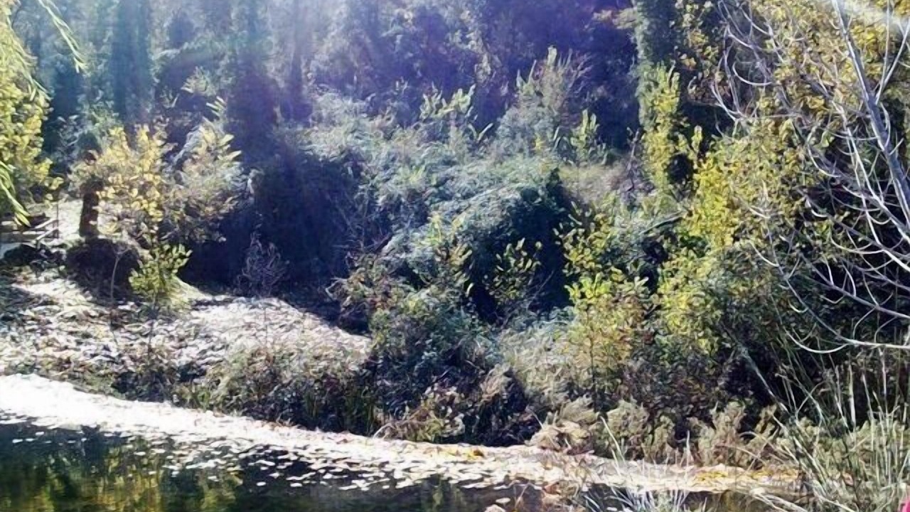Photo of Outdoor in Banyeres de Mariola