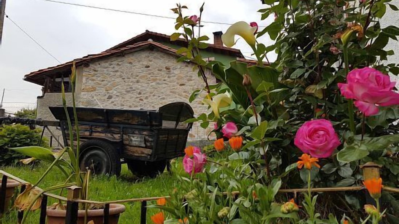Photo of Outdoor in Santianes de Ola