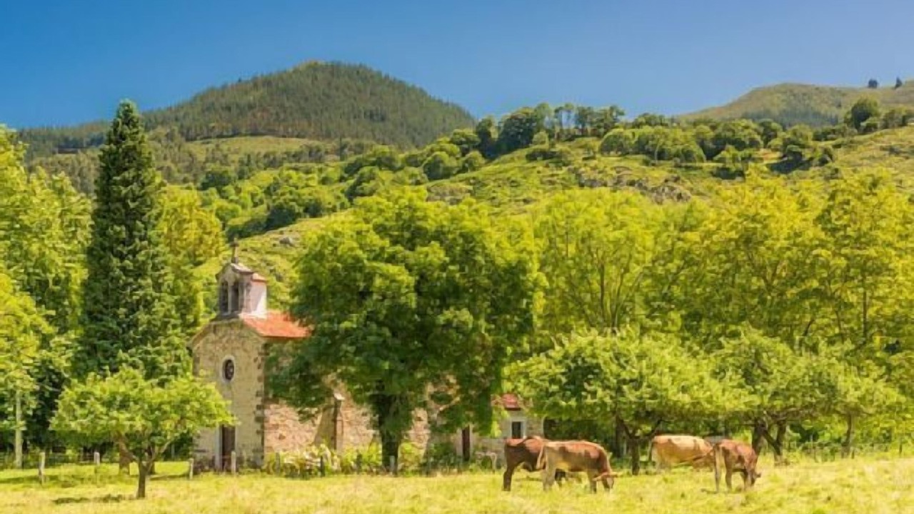 Photo of Outdoor in Santianes de Ola