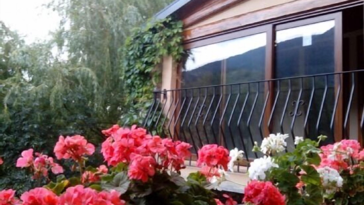 Photo of Outdoor in Bor