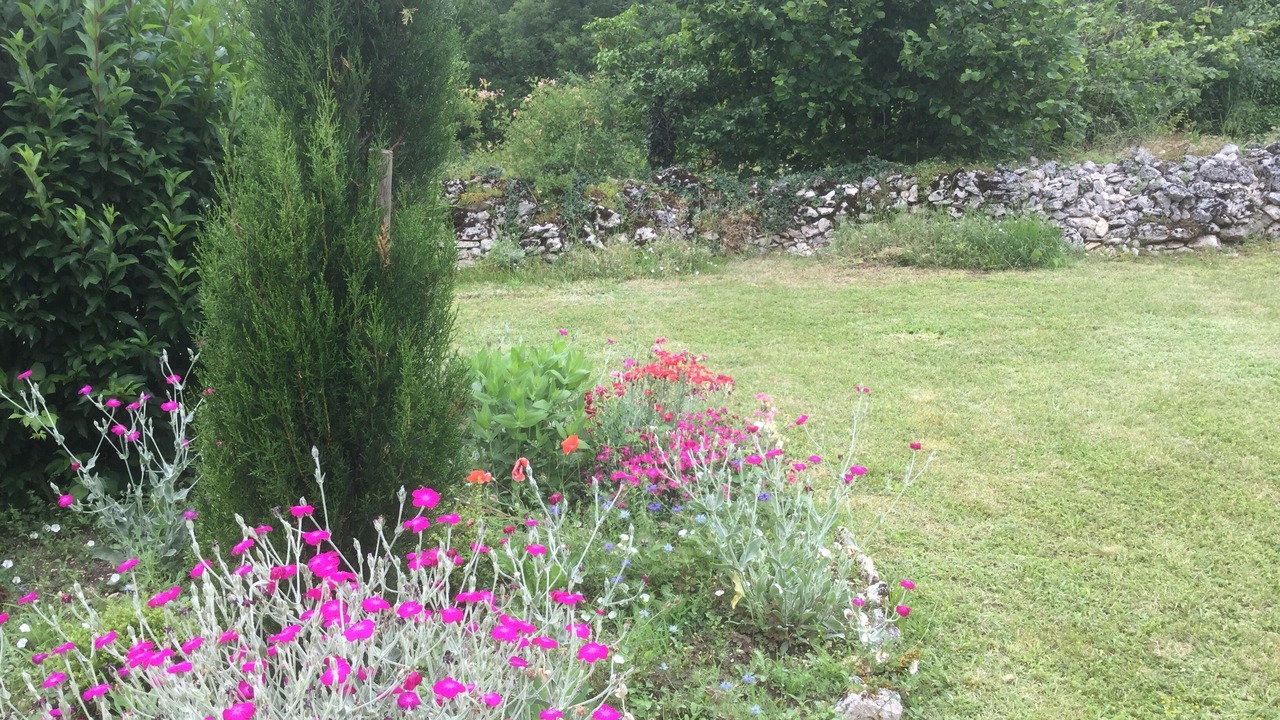 Photo of Others in Caylus