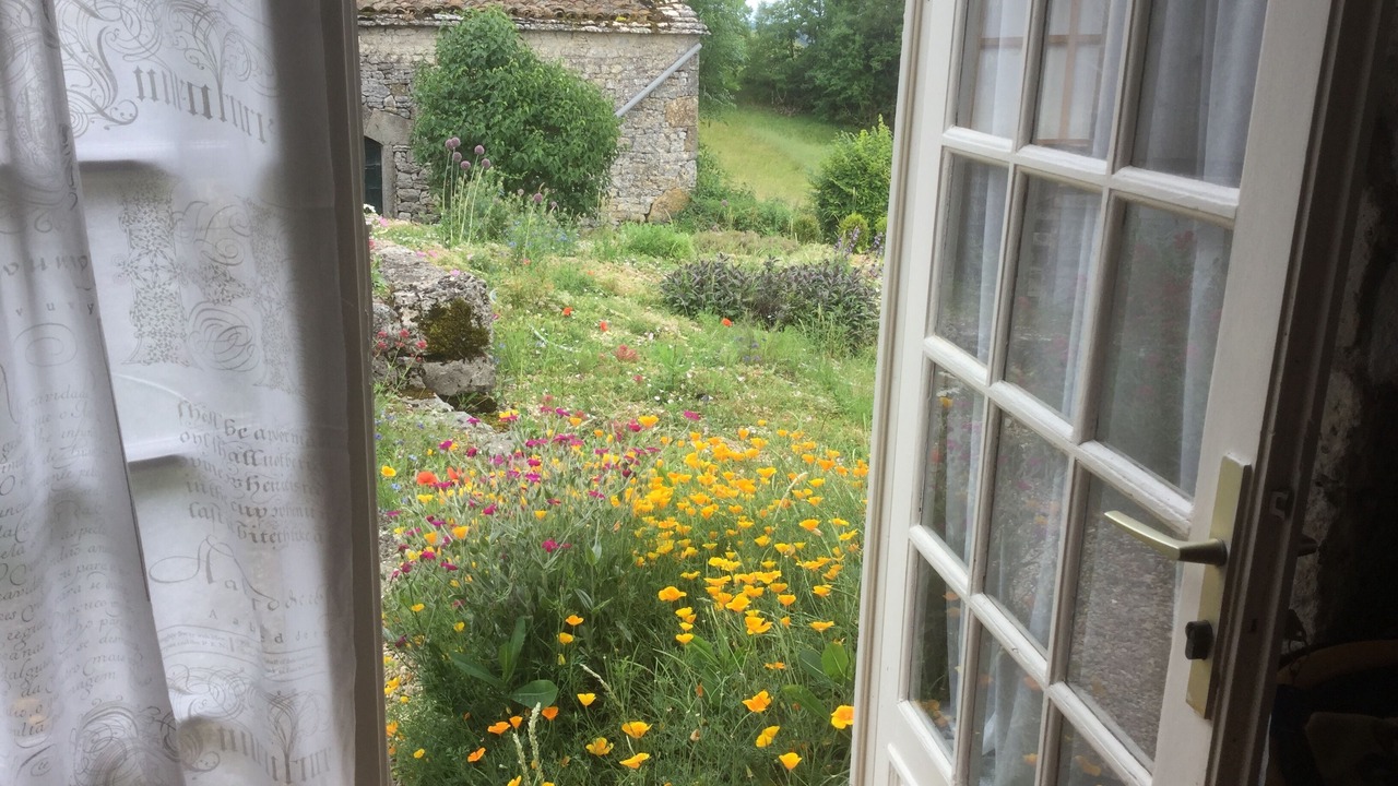 Photo of Others in Caylus