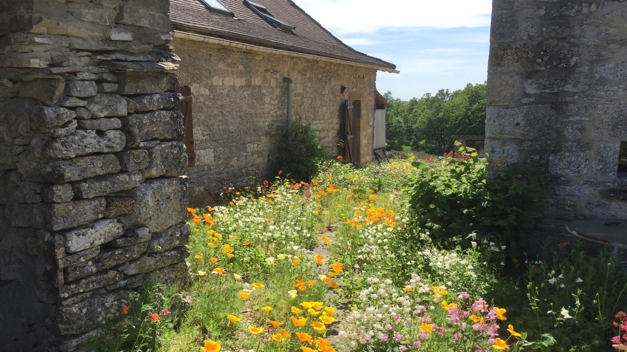 Photo of Outdoor in Caylus