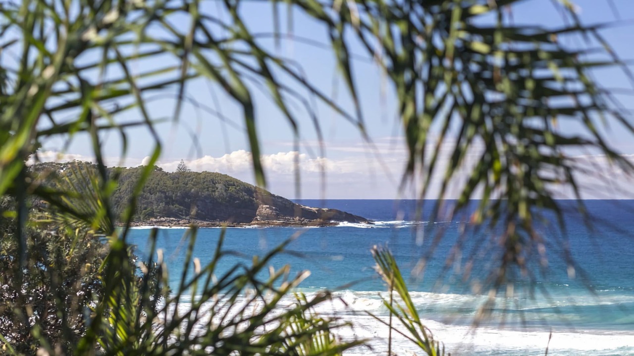 Photo of Others in Mollymook Beach