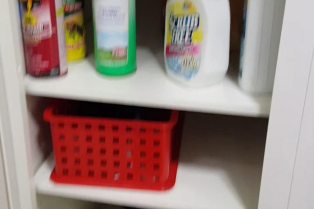 Photo of Others in New Port Richey