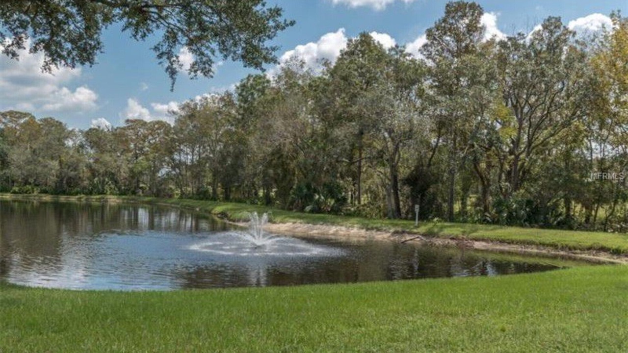 Photo of Others in New Port Richey