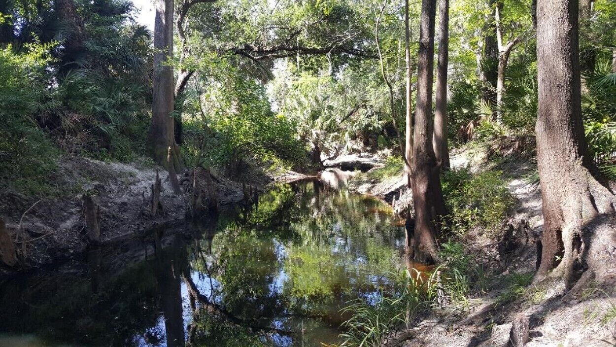 Photo of Others in New Port Richey