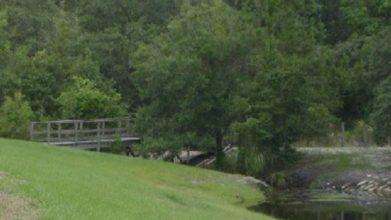 Photo of Others in New Port Richey