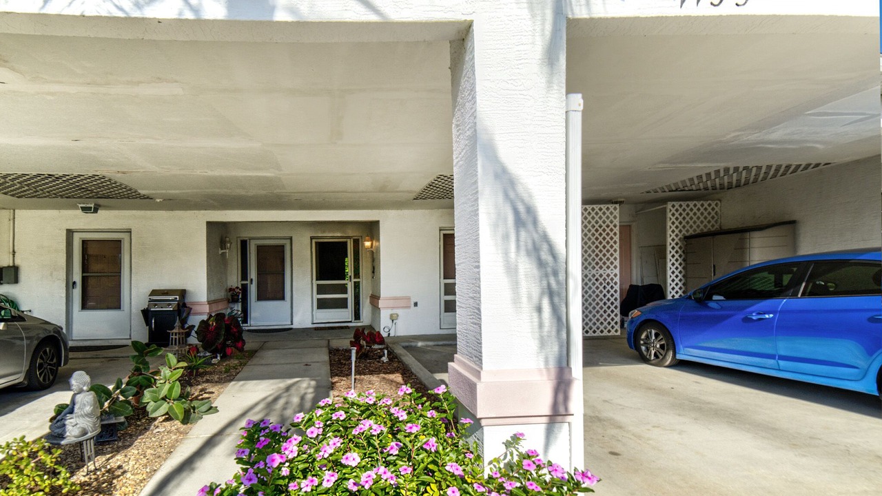 Photo of Others in New Port Richey