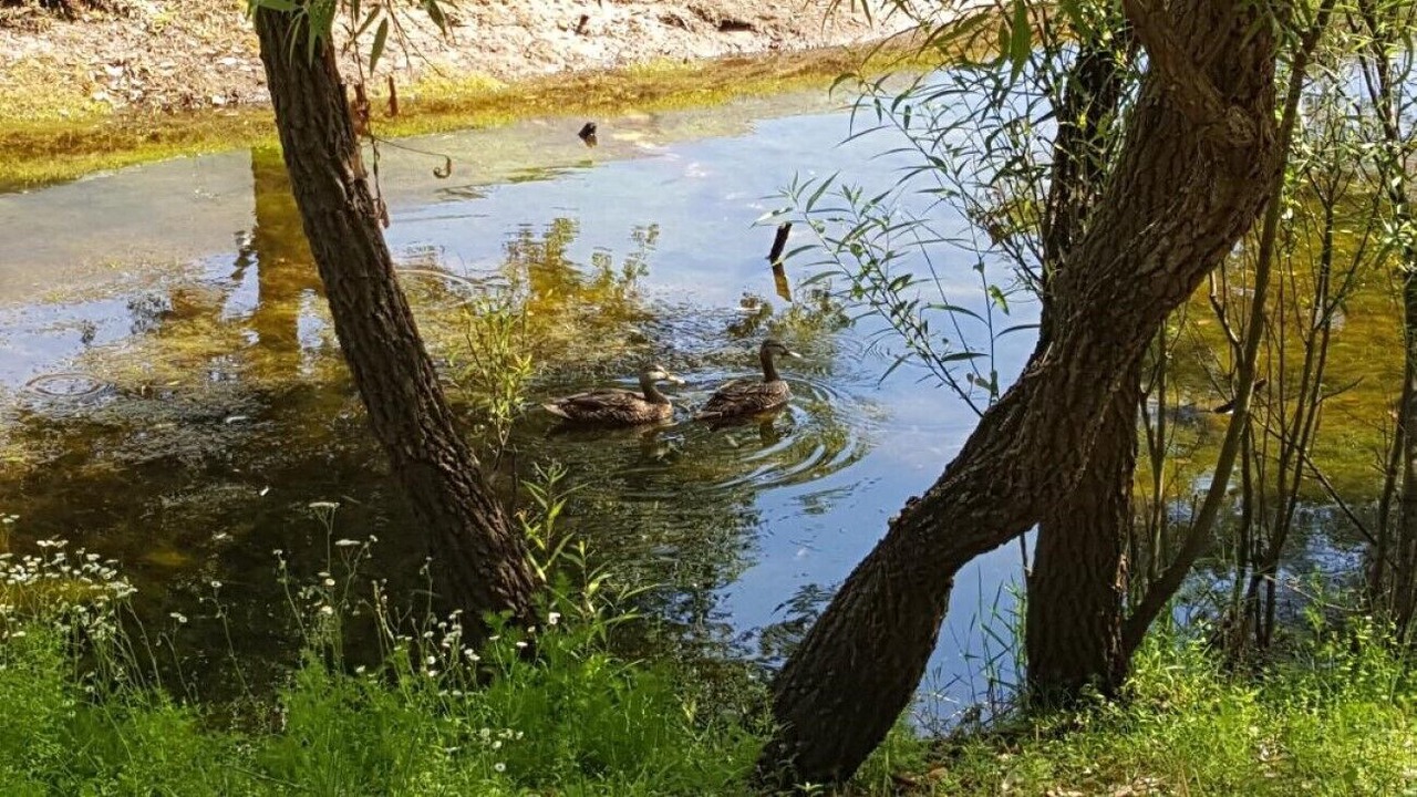 Photo of Others in New Port Richey