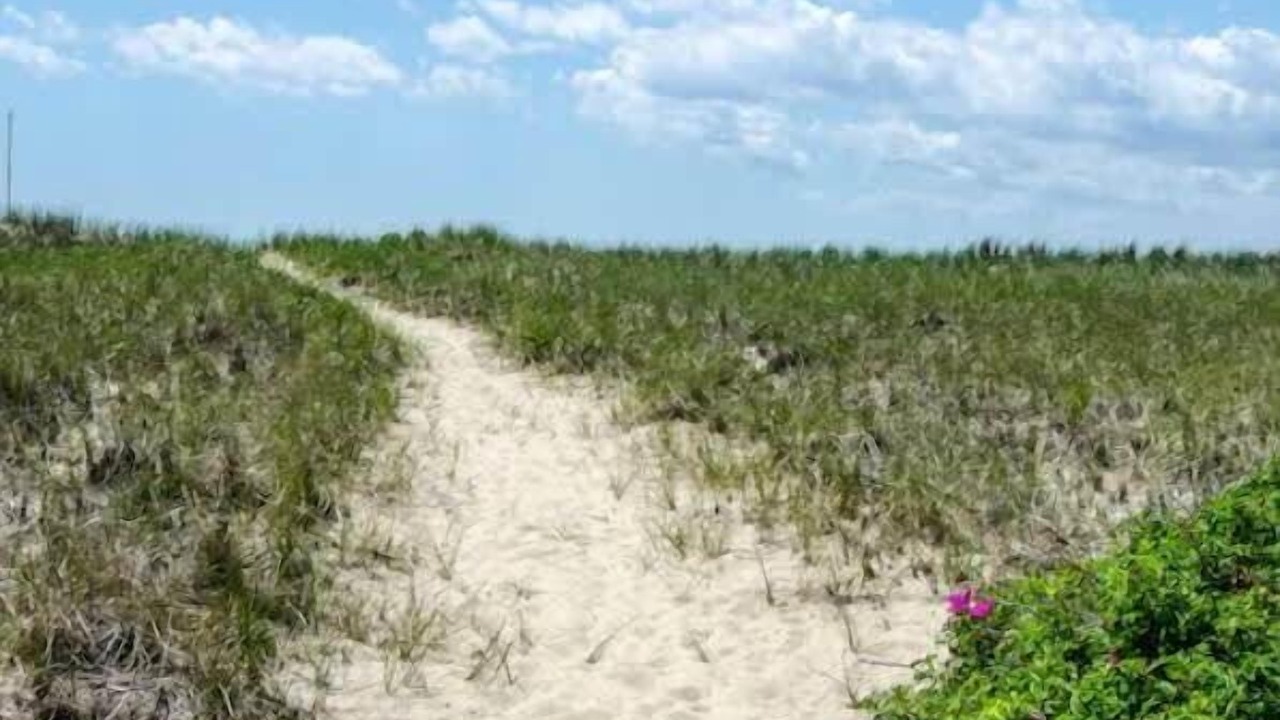 Photo of Others in North Truro