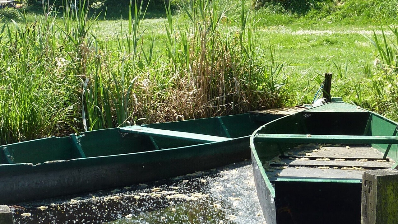 Photo of Outdoor in Guerande