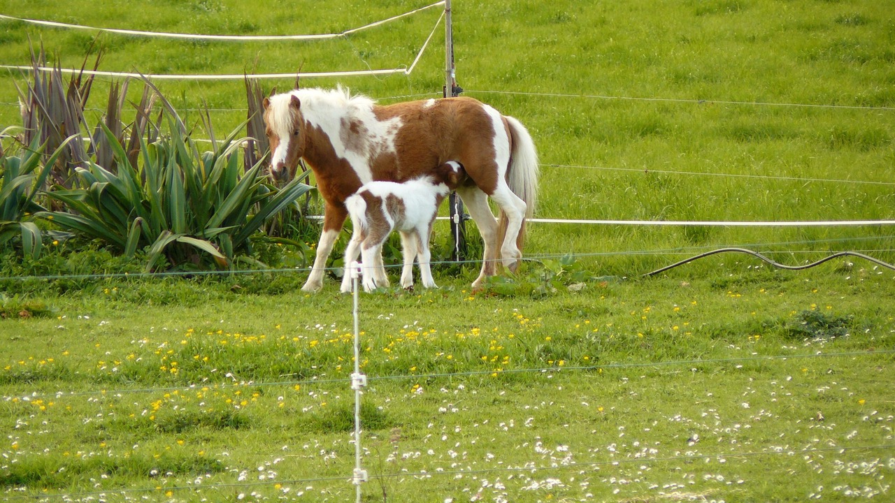 Photo of Outdoor in Linkwater