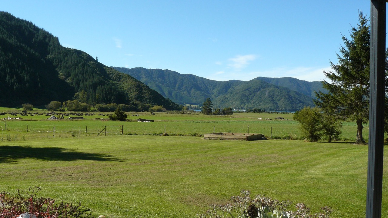 Photo of Outdoor in Linkwater