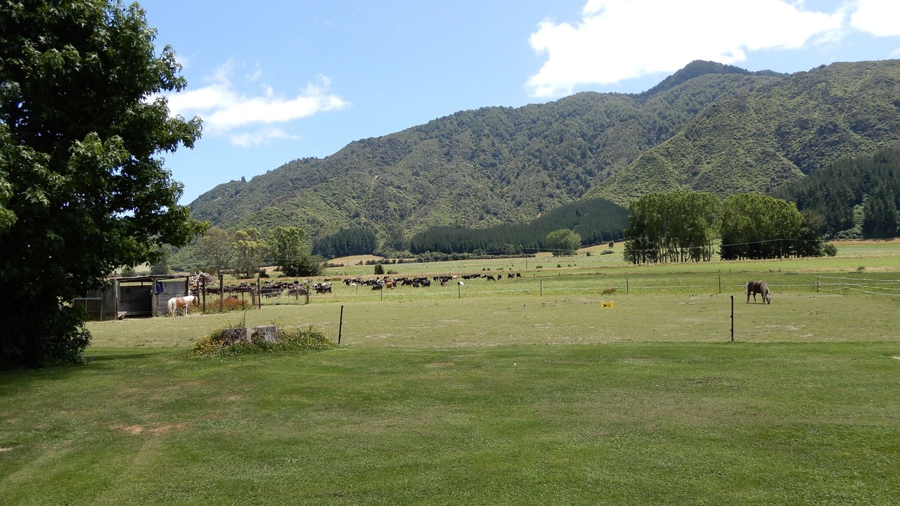 Photo of Others in Linkwater