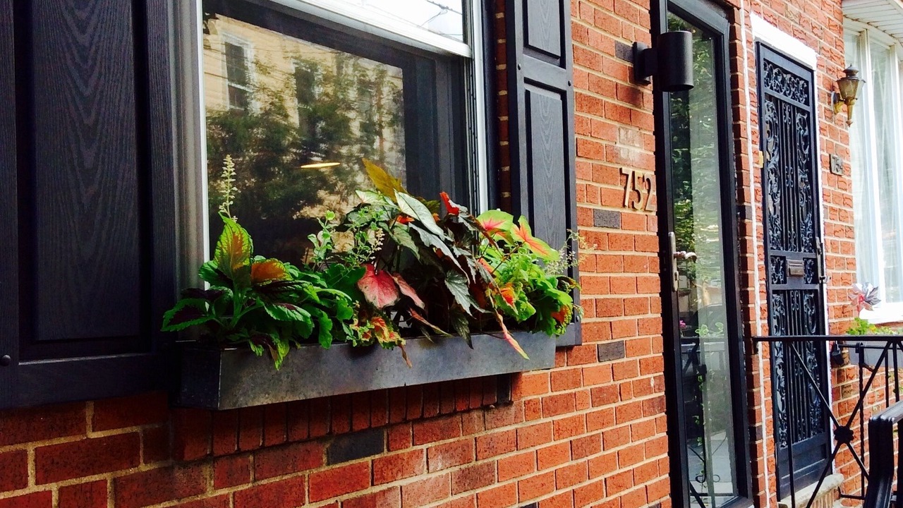 Photo of Others in Fairmount