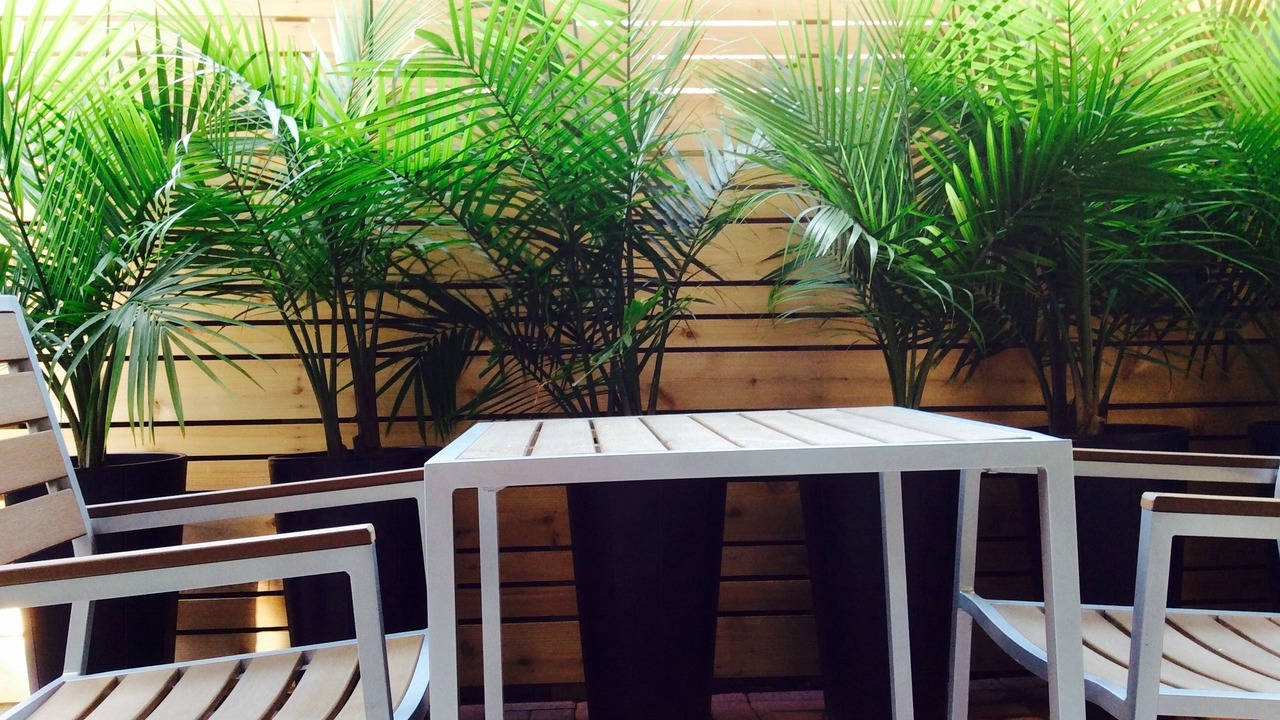 Photo of Outdoor in Fairmount