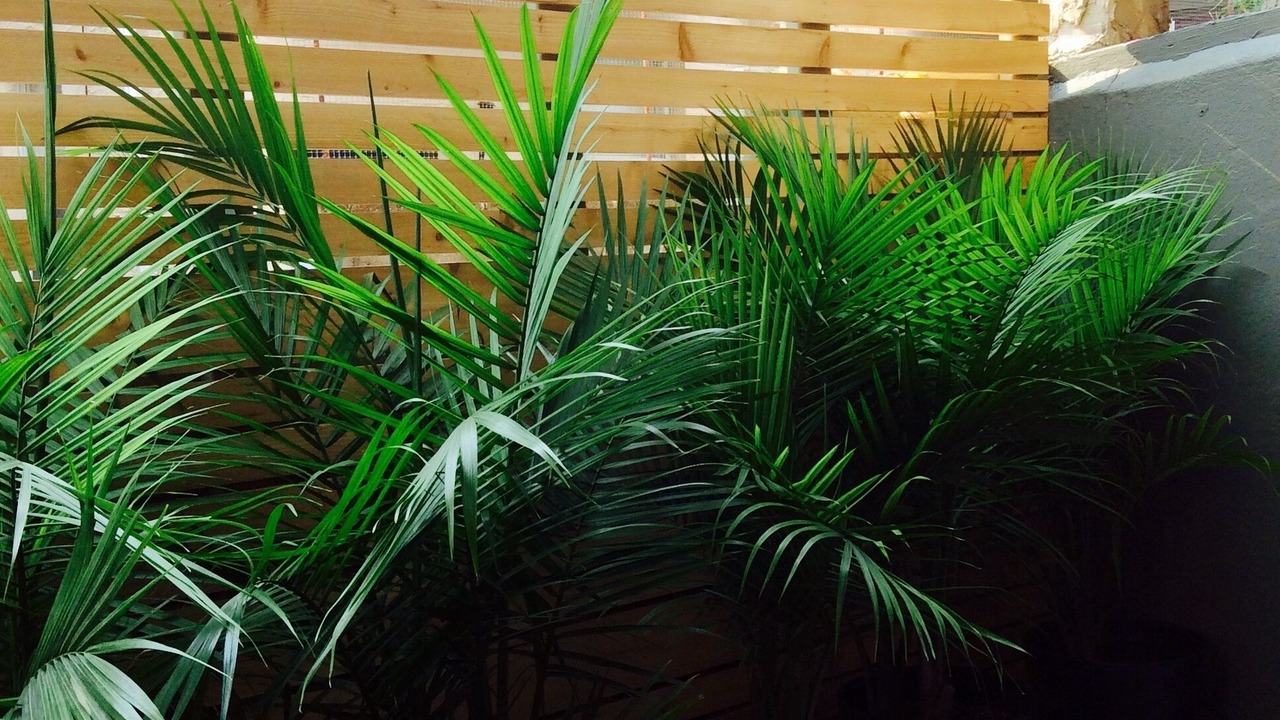 Photo of Outdoor in Fairmount