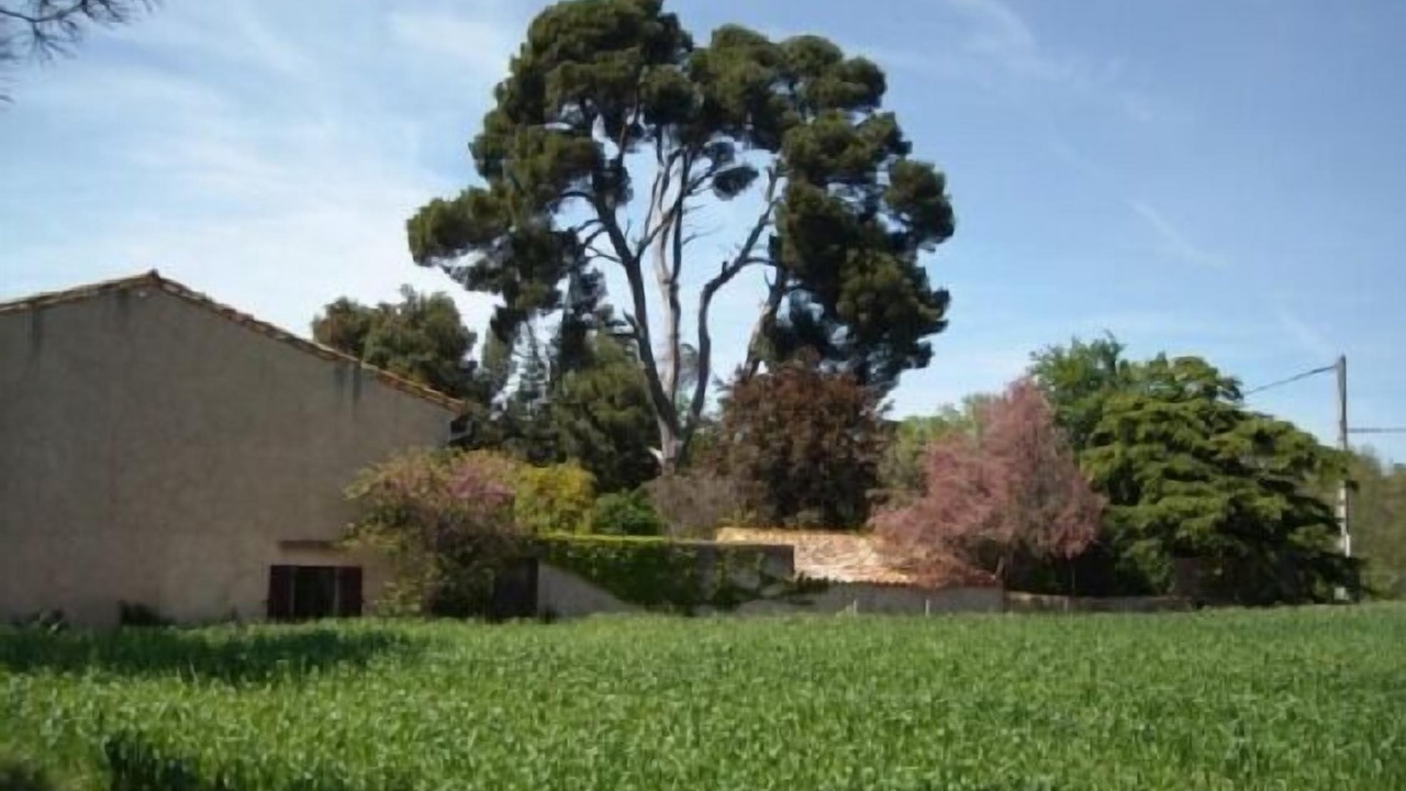 Photo of Outdoor in Moussoulens