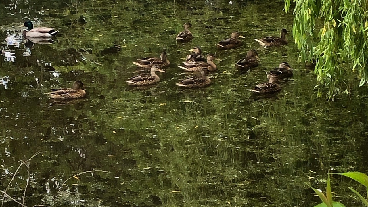 Photo of Others in Westerham