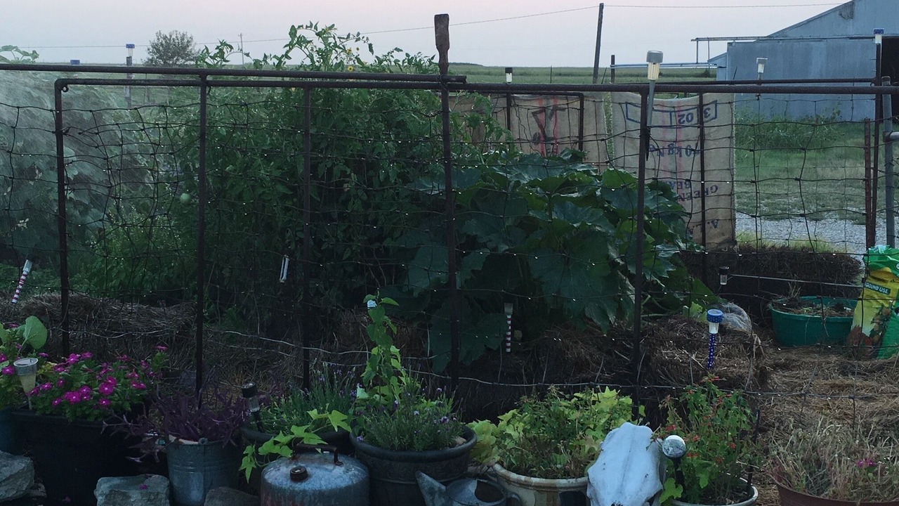 Photo of Outdoor in Tonkawa