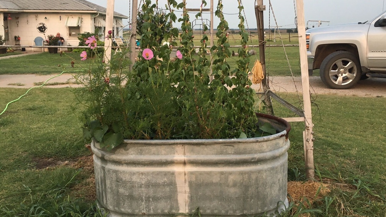 Photo of Outdoor in Tonkawa