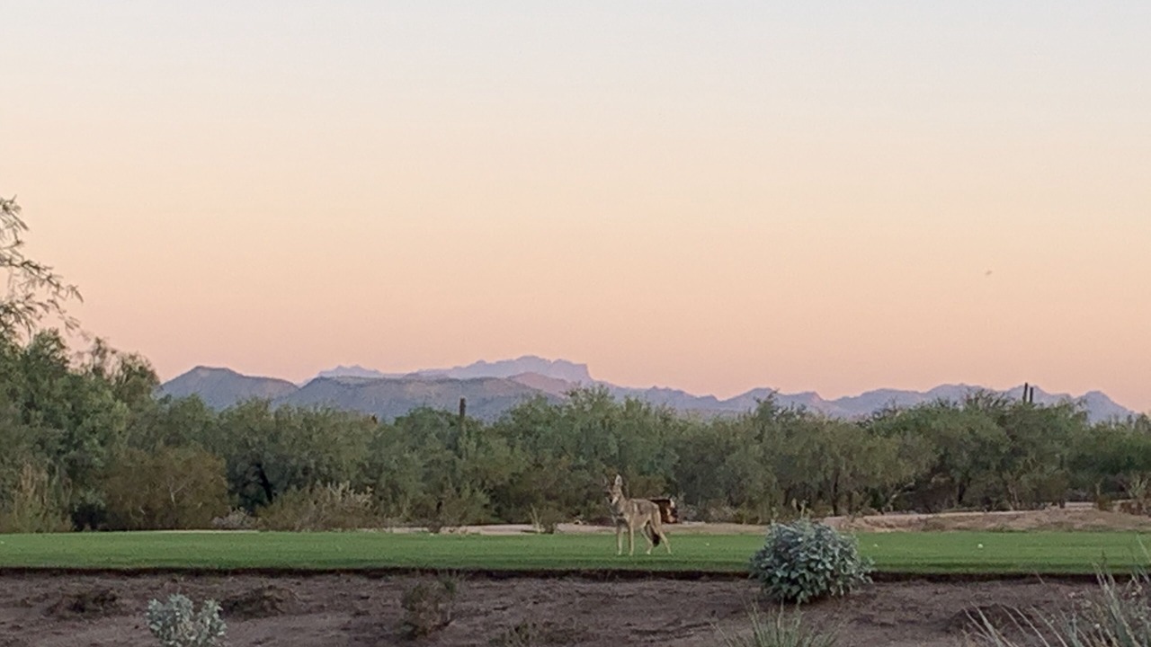Photo of Others in Tonto Verde