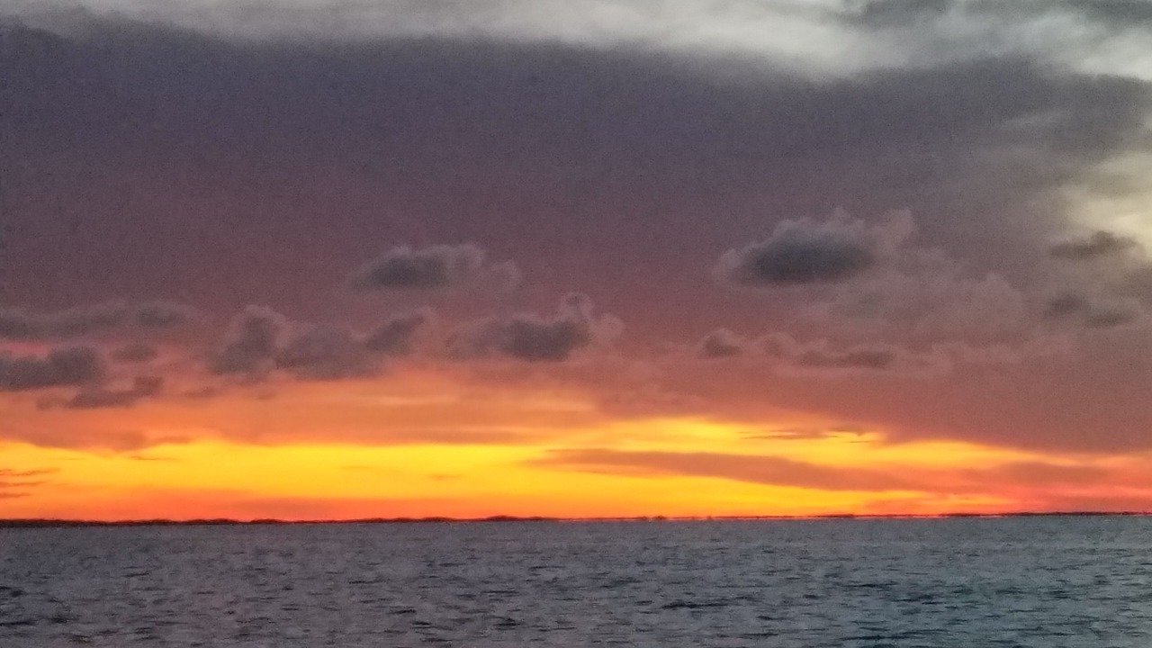 Photo of Others in Sexton Cove Estates