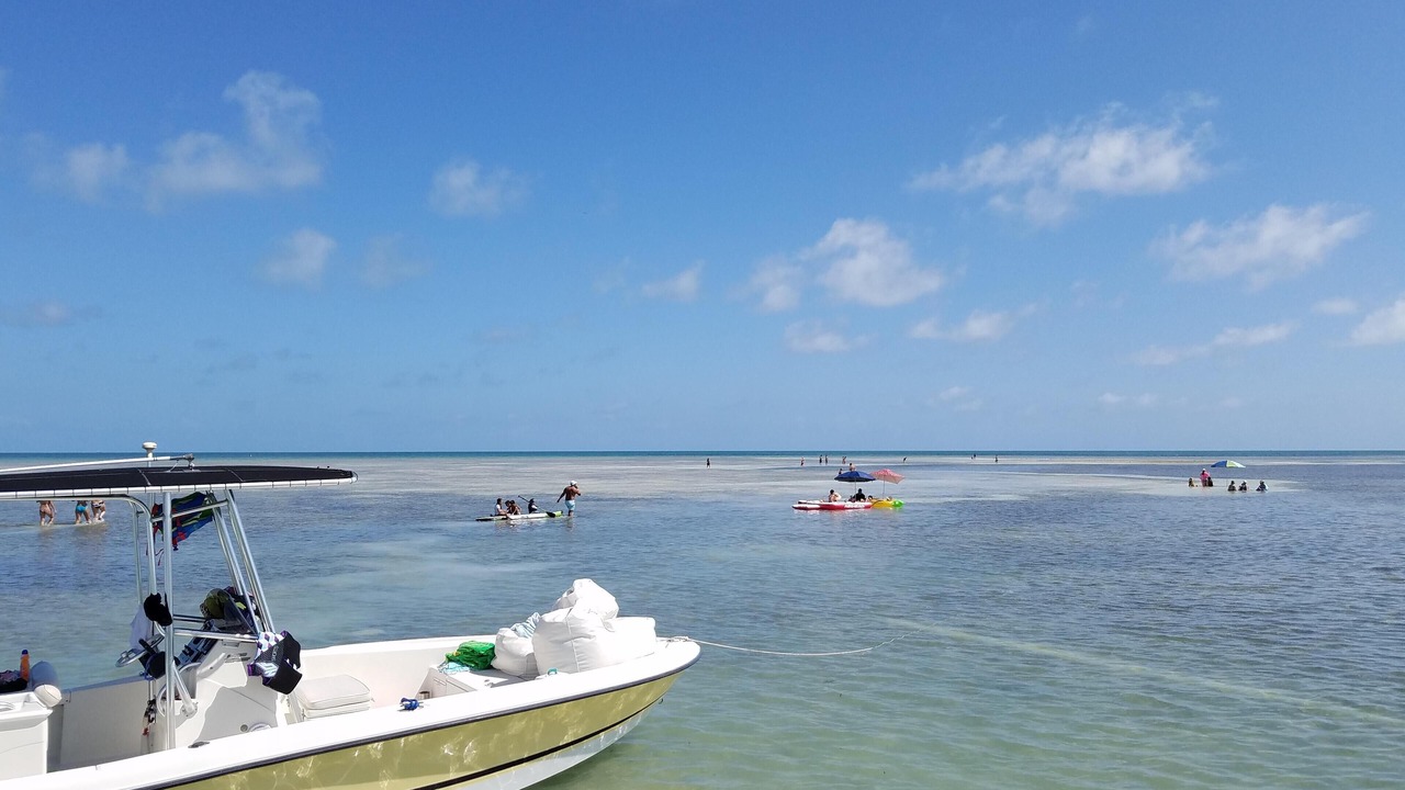 Photo of Others in Sexton Cove Estates