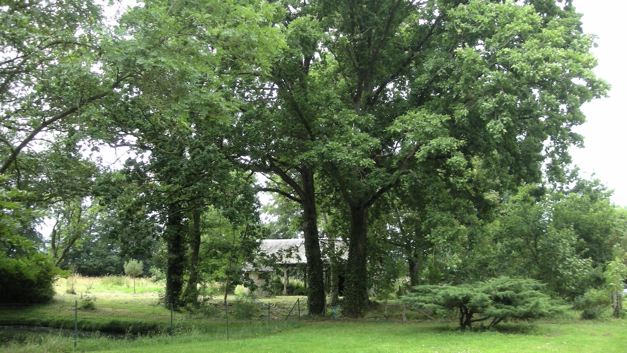 Photo of Others in Boissy-les-Perche