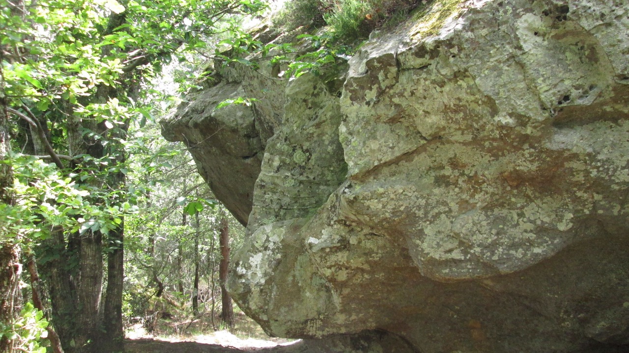 Photo of Outdoor in Saint-Just-et-le-Bezu