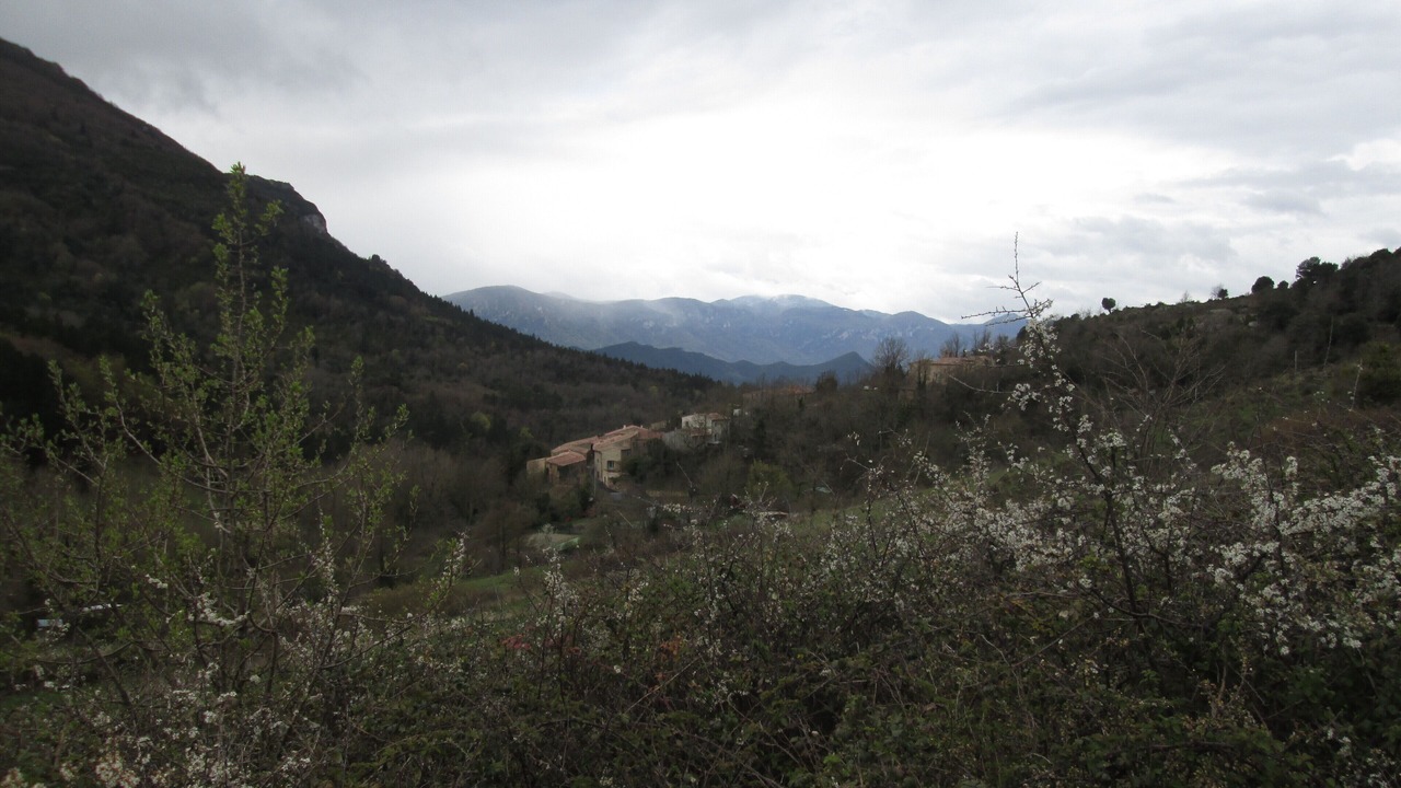 Photo of Outdoor in Saint-Just-et-le-Bezu