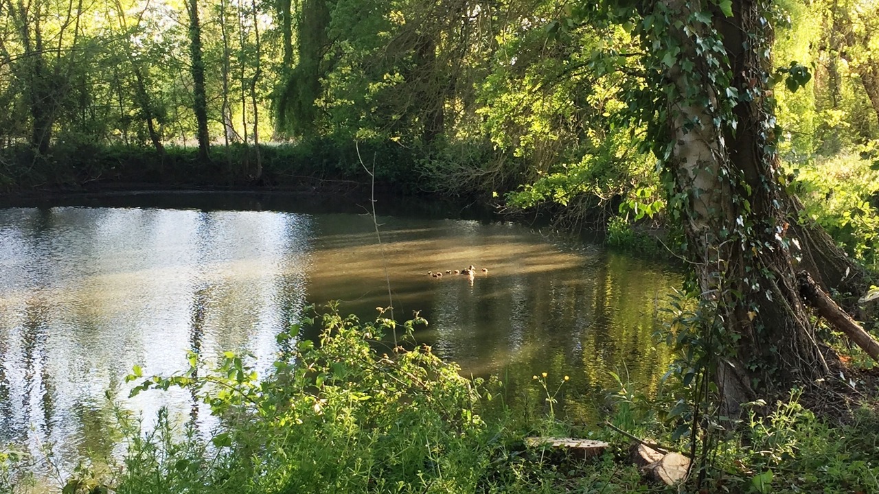 Photo of Outdoor in Chambourg-sur-Indre