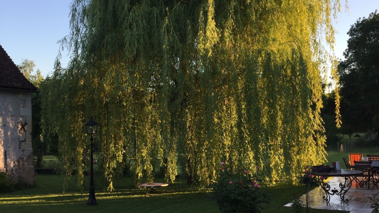 Photo of Outdoor in Chambourg-sur-Indre