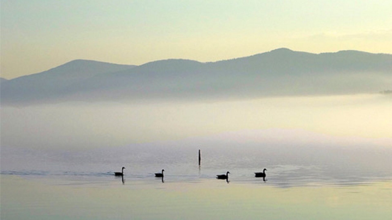 Photo of Others in North Lake George