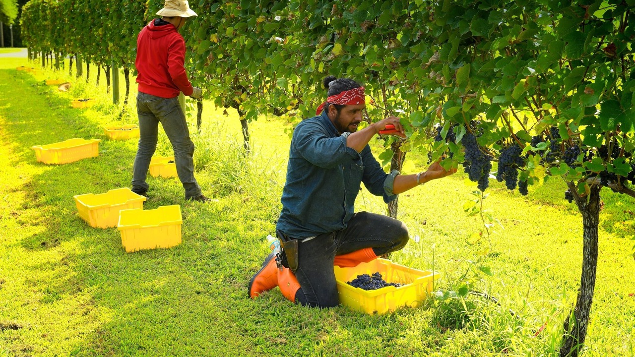 Photo of Others in West Cape May