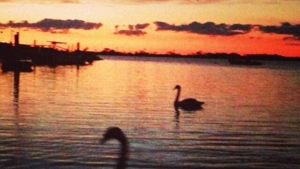 Photo of Others in Noyack