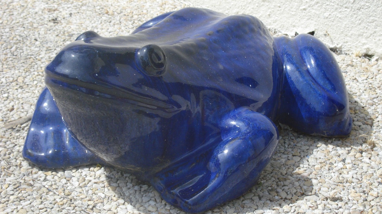 Photo of Others in Ferel