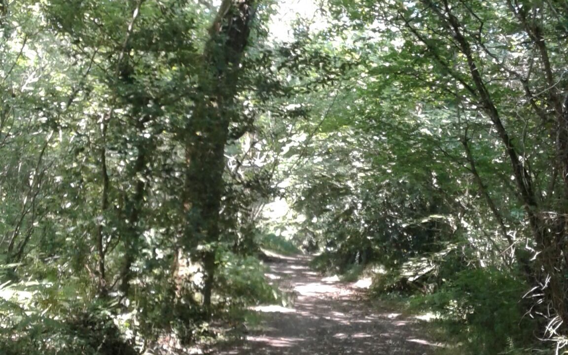 Photo of Outdoor in Ferel