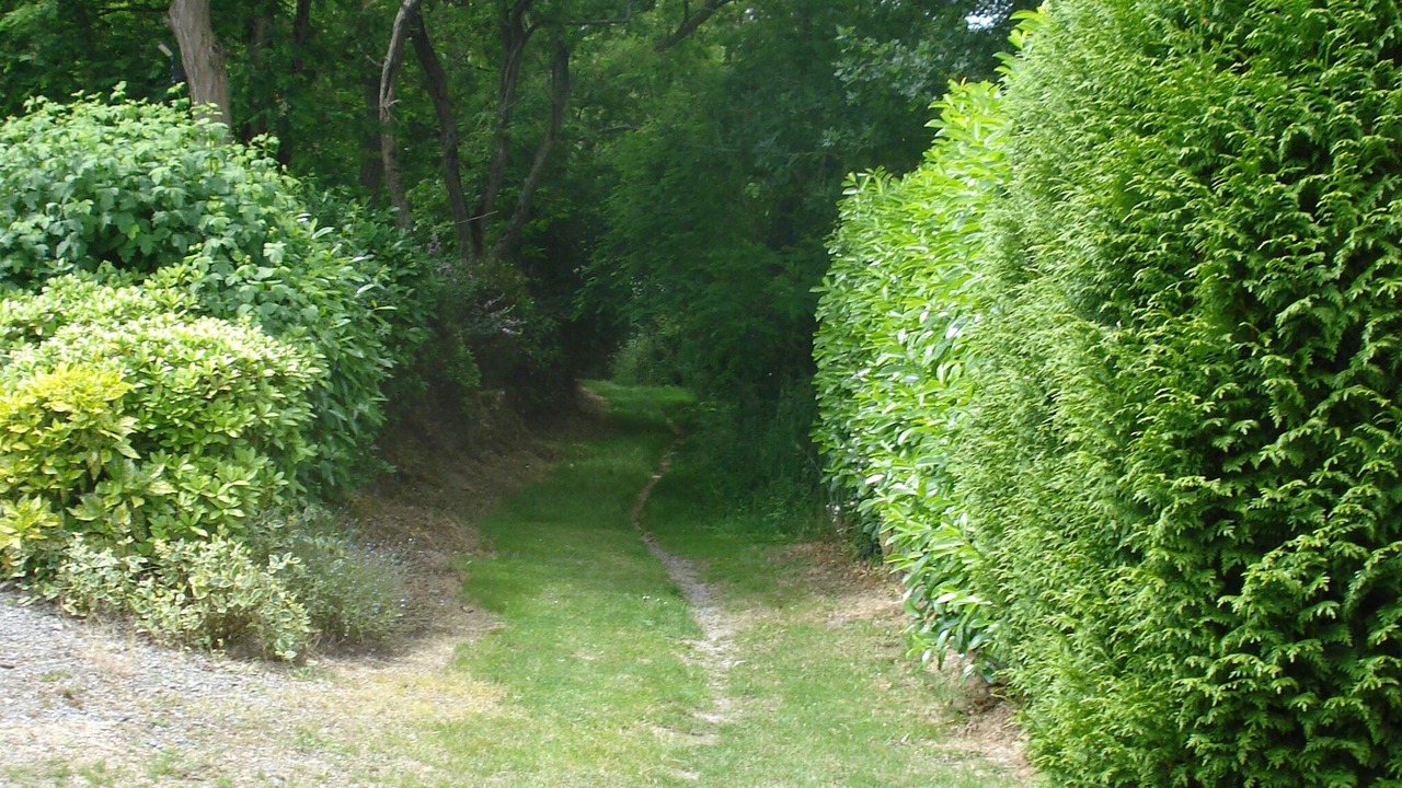 Photo of Outdoor in Ferel