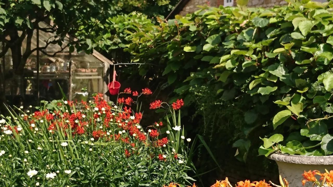 Photo of Outdoor in Seend