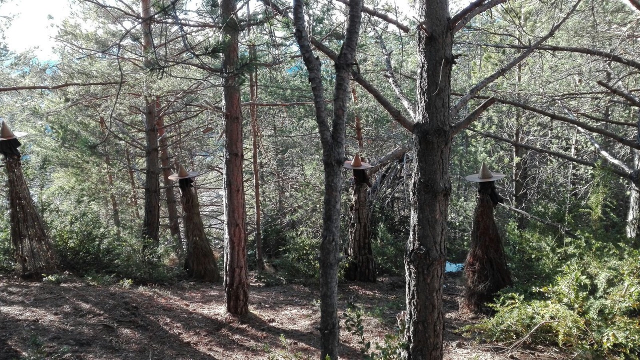 Photo of Outdoor in Graus