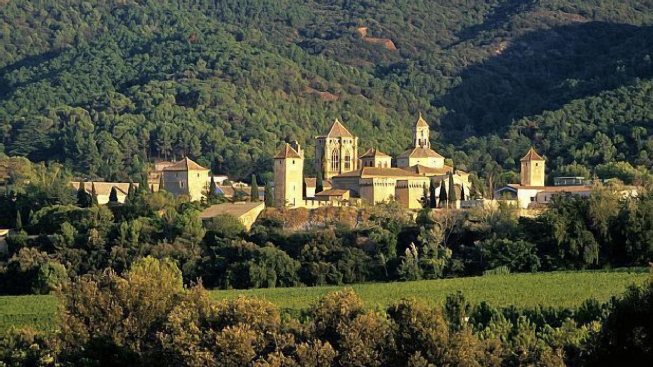 Photo of Outdoor in Vimbodi